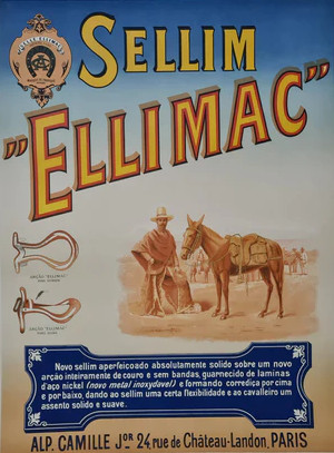 Unveiling the Legacy: The Ellimac Saddle by Camille-Paris